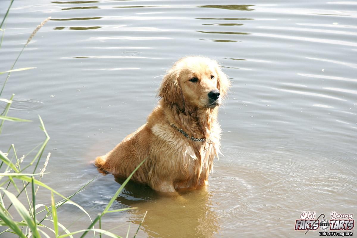 Una joven morena recompensa a un anciano cachondo con una buena follada
 #73243913