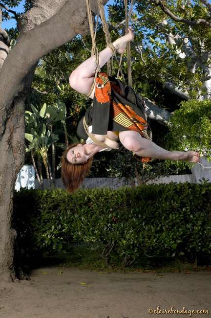 Claire Adams tied up and hung upside down #72115800