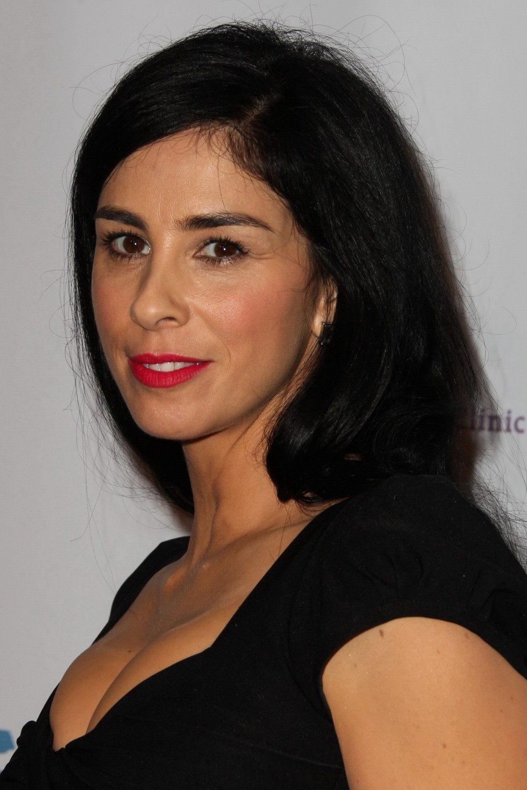 Sarah Silverman showing huge cleavage at the 37th Annual Saban Community Clinic  #75211841