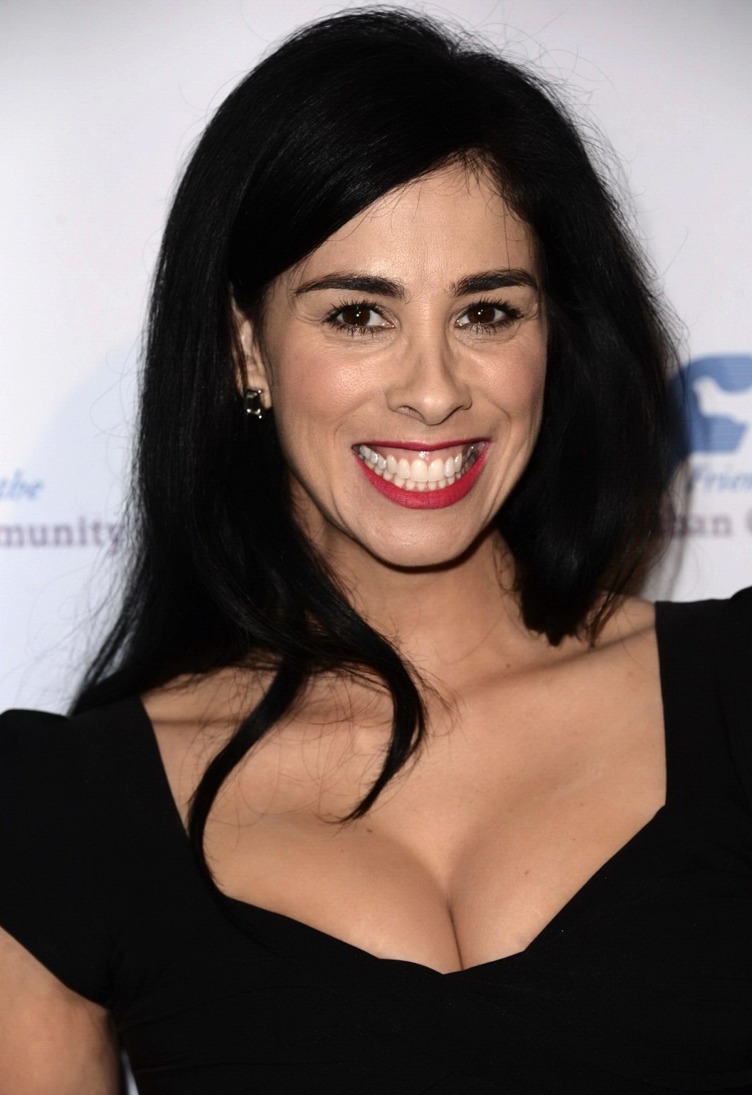 Sarah Silverman showing huge cleavage at the 37th Annual Saban Community Clinic  #75211868