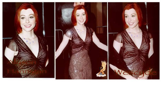 Lovely sexy celebrity Alyson Hannigan showing nude tits #75431661