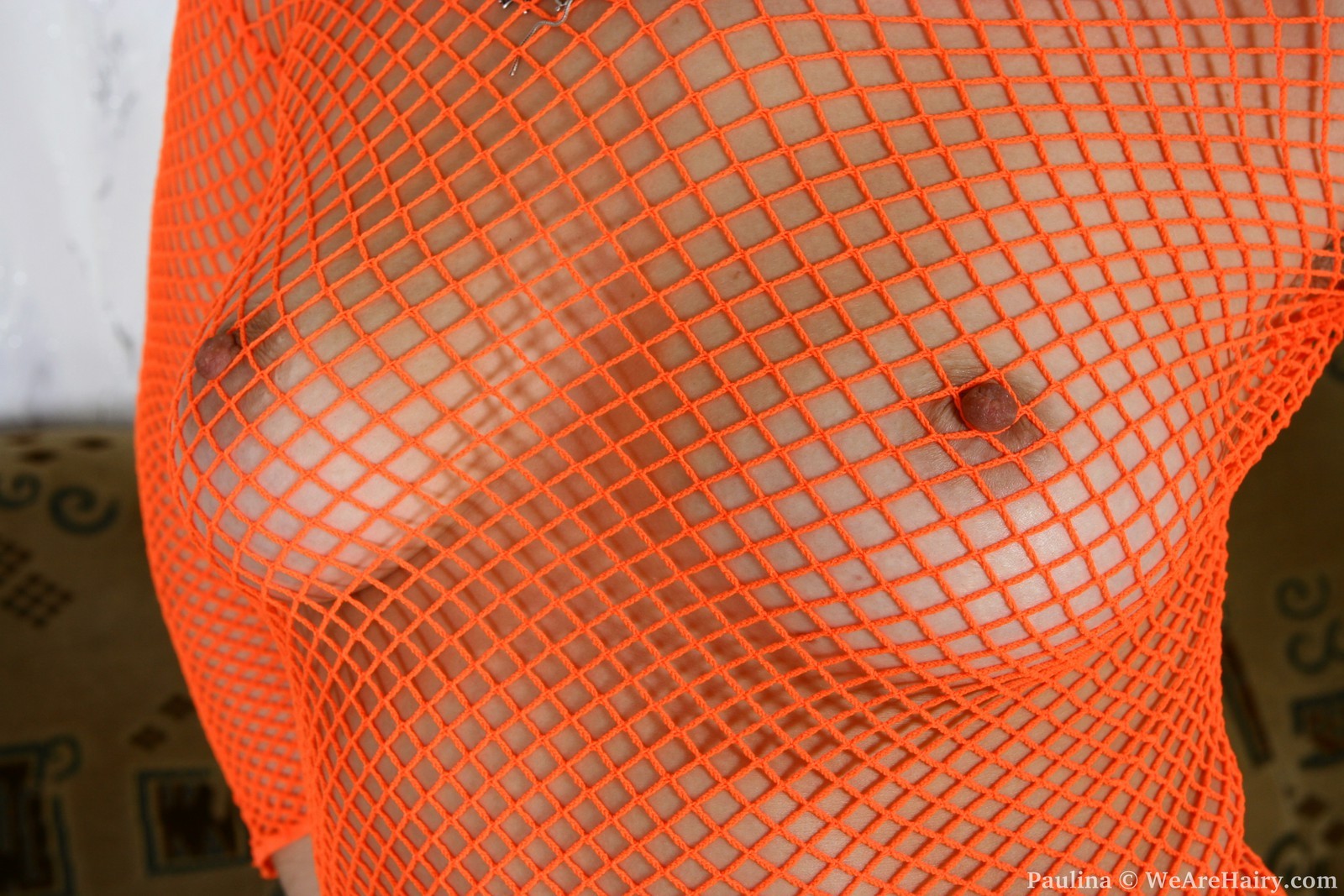 Natural Paulina teases her bush #77296441