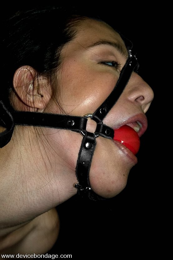 Circe Borges se fait baiser avec un gode par un crochet anal en levrette
 #68813583