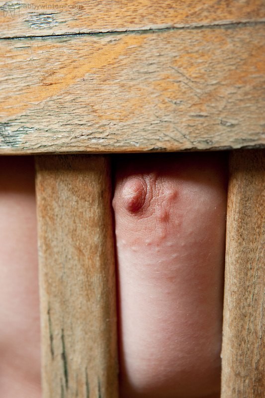 Joven amateur peluda
 #77287651