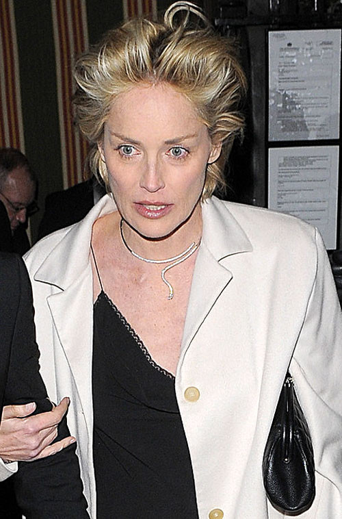 Sharon stone montrant sa chatte rasée et sa jupe haute
 #75403925