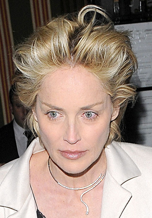 Sharon stone montrant sa chatte rasée et sa jupe haute
 #75403949