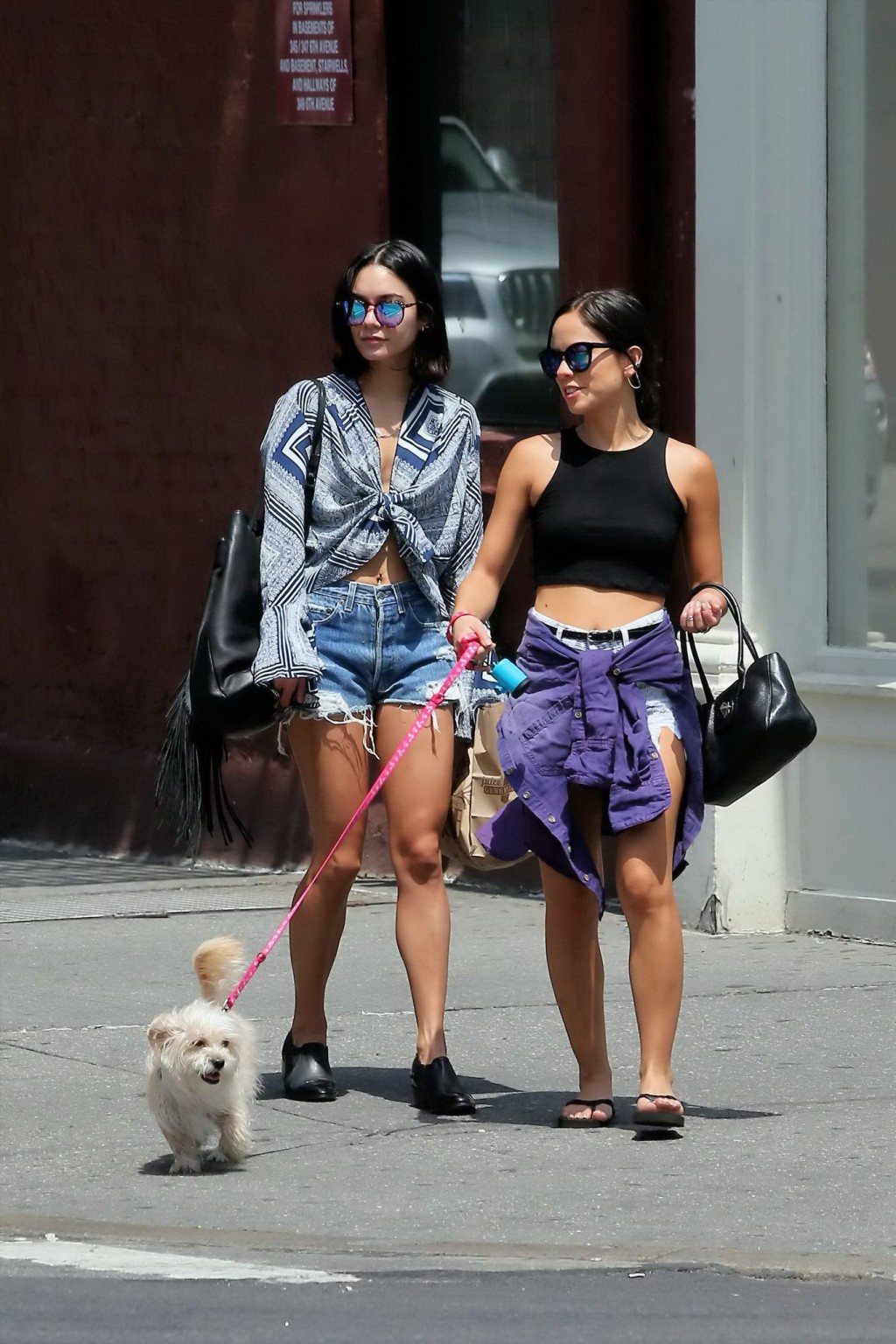 Vanessa Hudgens in denim shorts showing off her sexy midriff #75161014