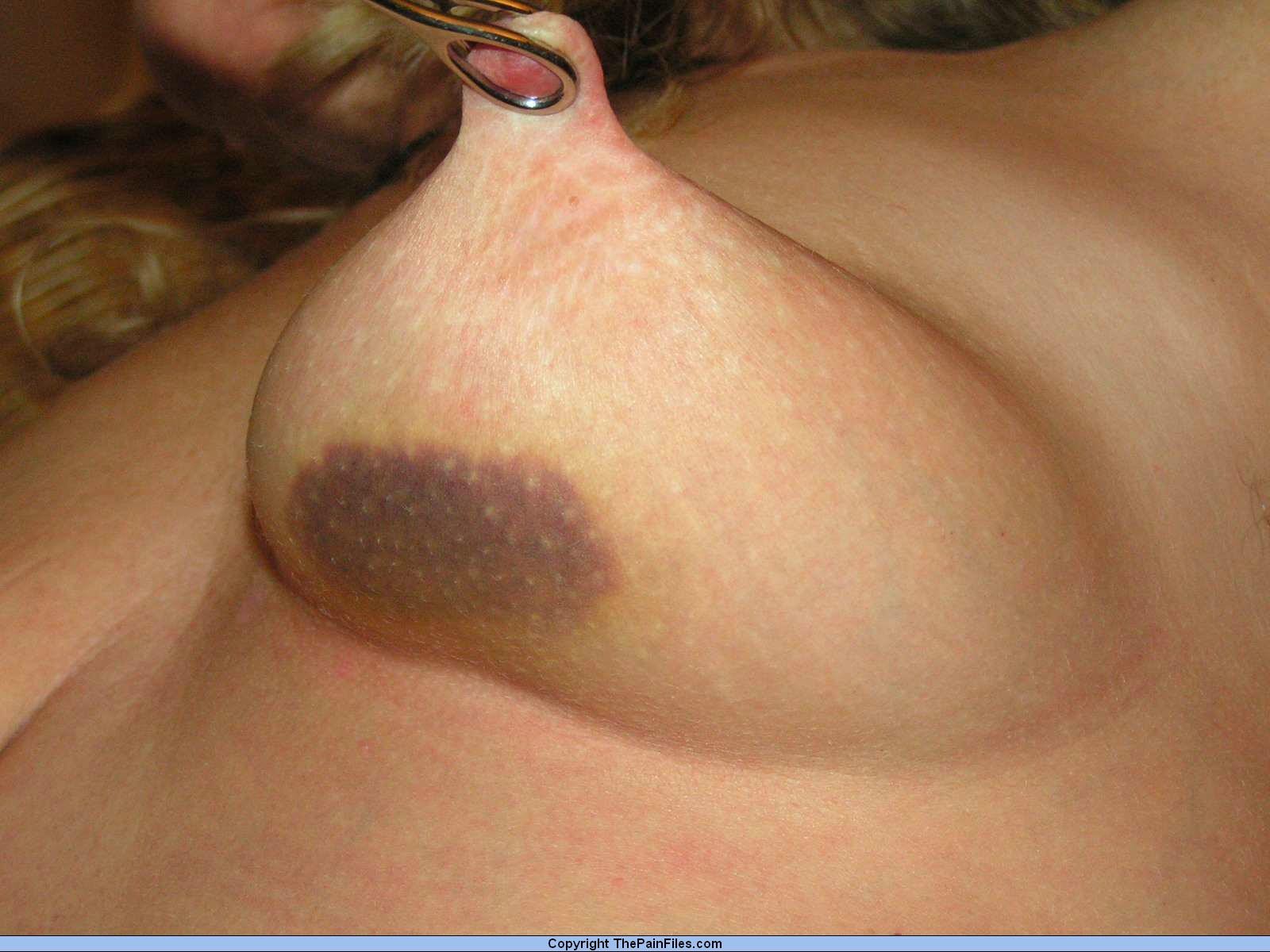 Experienced novice slavegirls tit hanging and whipping #72204041