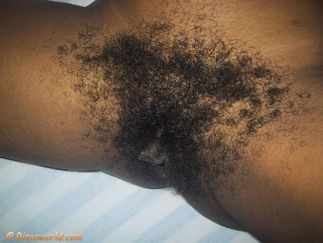 Massively hairy  bush on this black chick #73444660