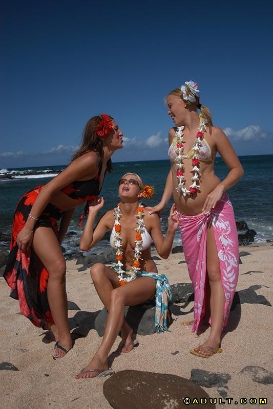 Tres chicas surfistas en acción lésbica salvaje al aire libre
 #78276417