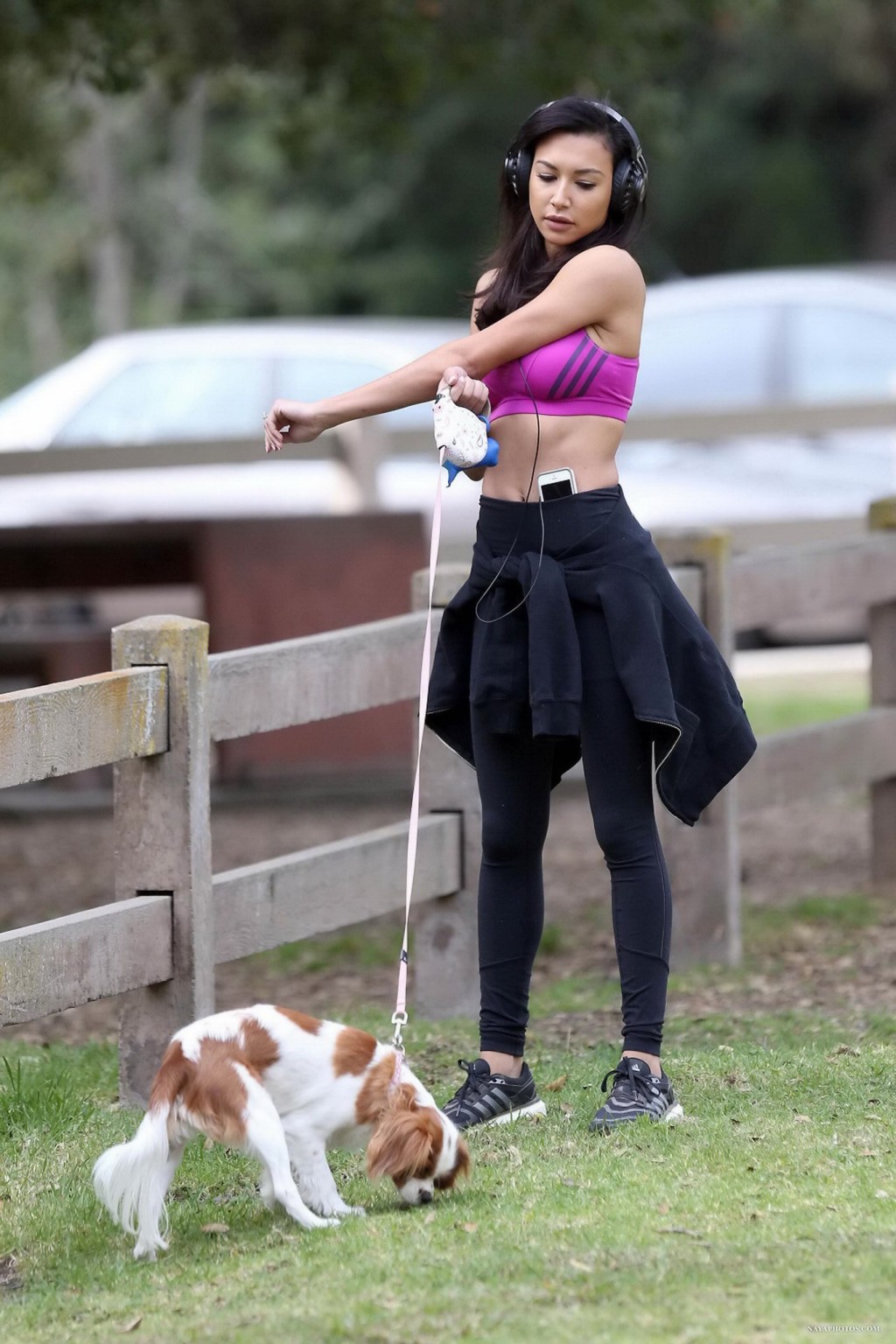 Naya Rivera wearing sports bra and tights while walking her dog at Griffith Park #75211189