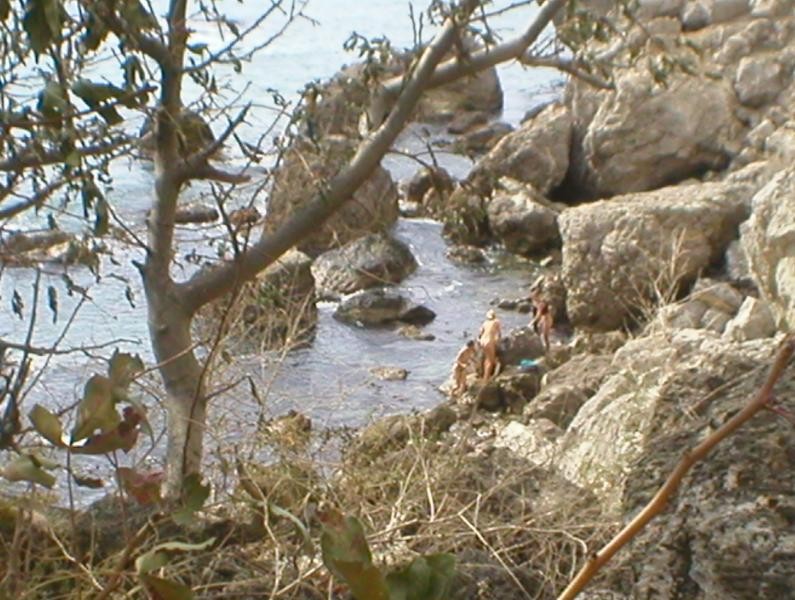 Unbelievable nudist pics #72293597