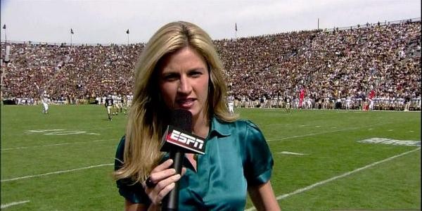 Erin Andrews curvy sportscaster with a bangin body reports #73786410