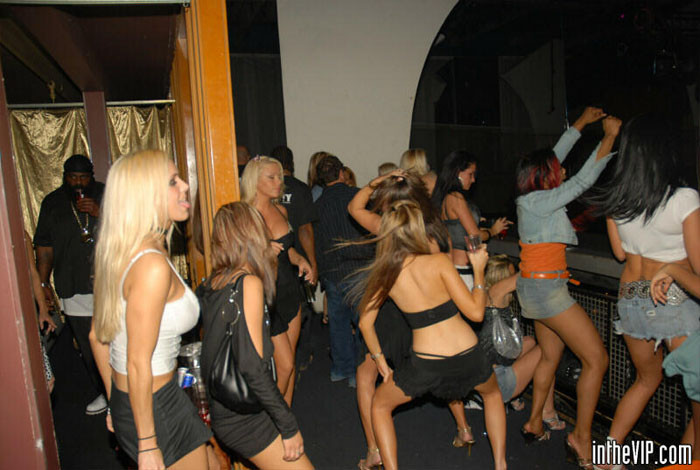 The vip room of this club was full of the hottest babes gettin down and dirty #74184386