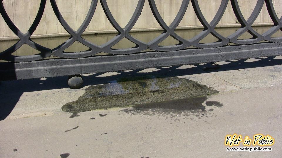 Verzweifeltes Mädchen pinkelt durch ihre Samthose am Ufer eines Stadtflusses
 #73238632