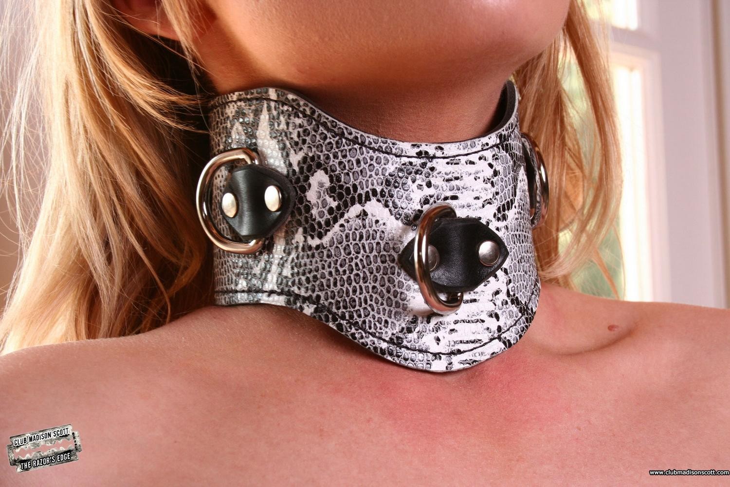 Madison Scott tied up in snakeskin collars #79102783