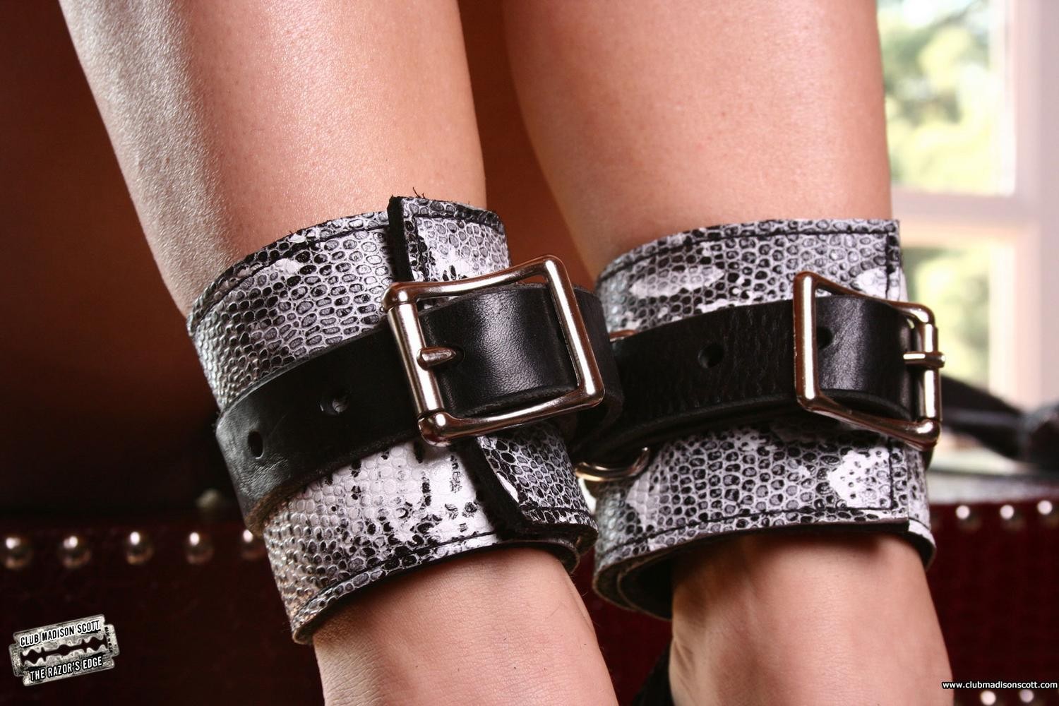 Madison Scott tied up in snakeskin collars #79102796