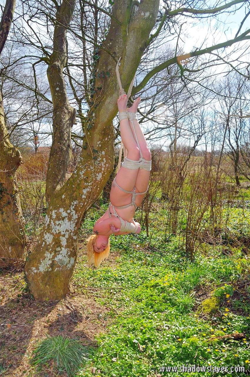 Outdoor suspension bondage and public fetish #71936068