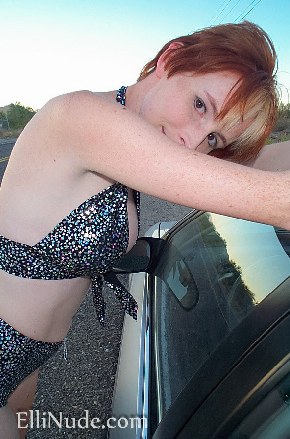 crazy babe flashes highway #67334435