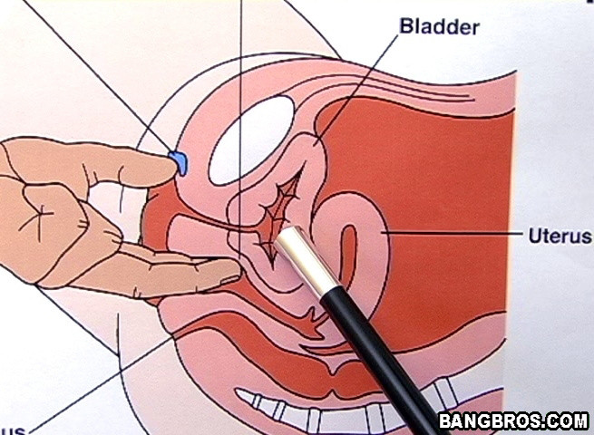 この女性は、私たちに人生の教訓を与えてくれました。
 #77525616