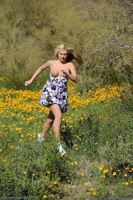 Schöne Alison Angel läuft im Blumenfeld
 #78622428