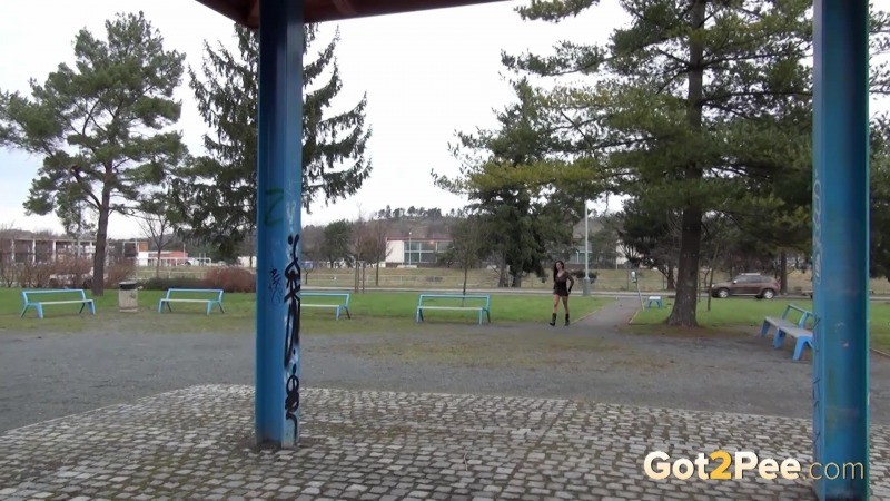 Une jeune femme coquine aux cheveux noirs fait pipi dans un parc public.
 #67486458