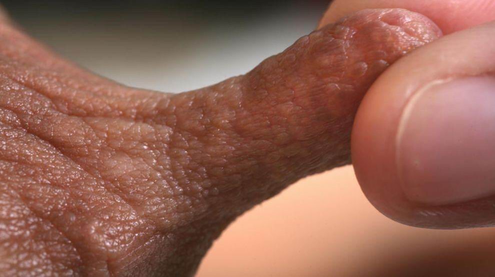 real huge nipples and areolas #73220073