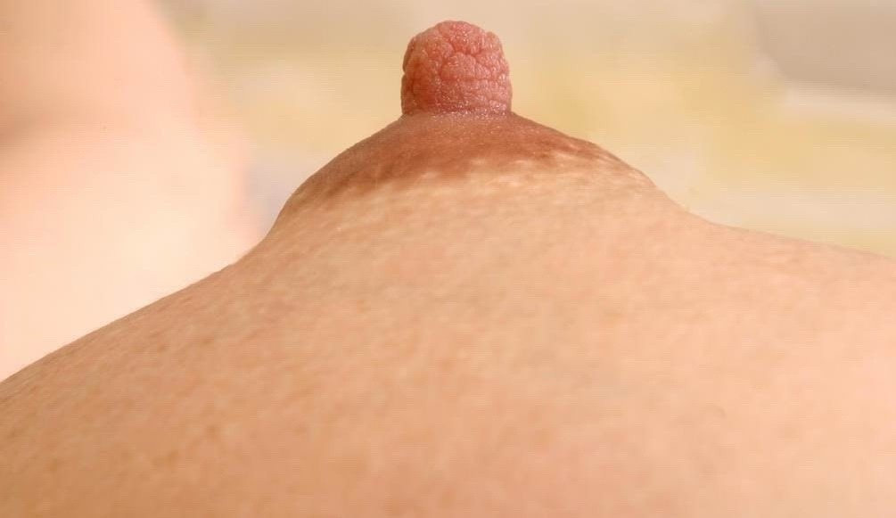 real huge nipples and areolas #73220089