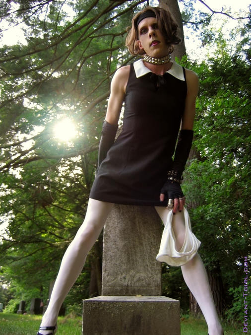 Kinky tgirl blinkt ihre leckeren Arsch in einem Friedhof
 #79335557