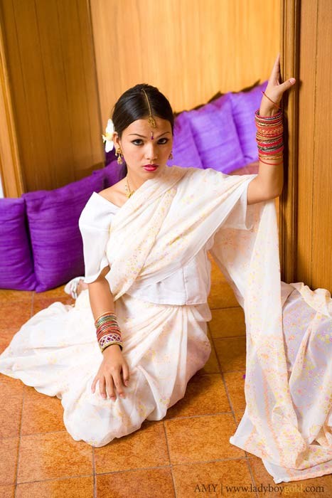 インドのサリーを着て魅惑的にからかうレディボーイのエイミー
 #79281642