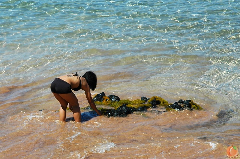 Ragazze della spiaggia hawaiana
 #72721119