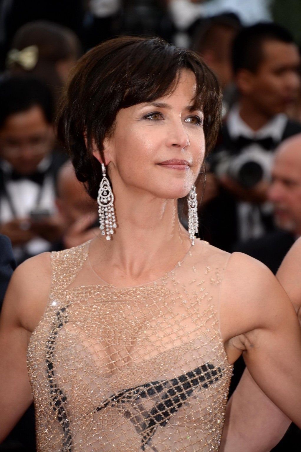 Sophie Marceau showing huge cleavage at the Closing Ceremony and Le Glace Et Le  #75162673