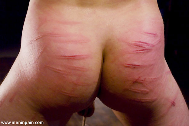 Vicioso dominatrix utiliza su correa llevó sub masculino
 #72204343