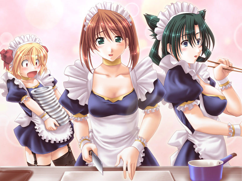 スパインから来た若いヘンタイメイドが、ご主人様とのセックスで妊娠する
 #69691446