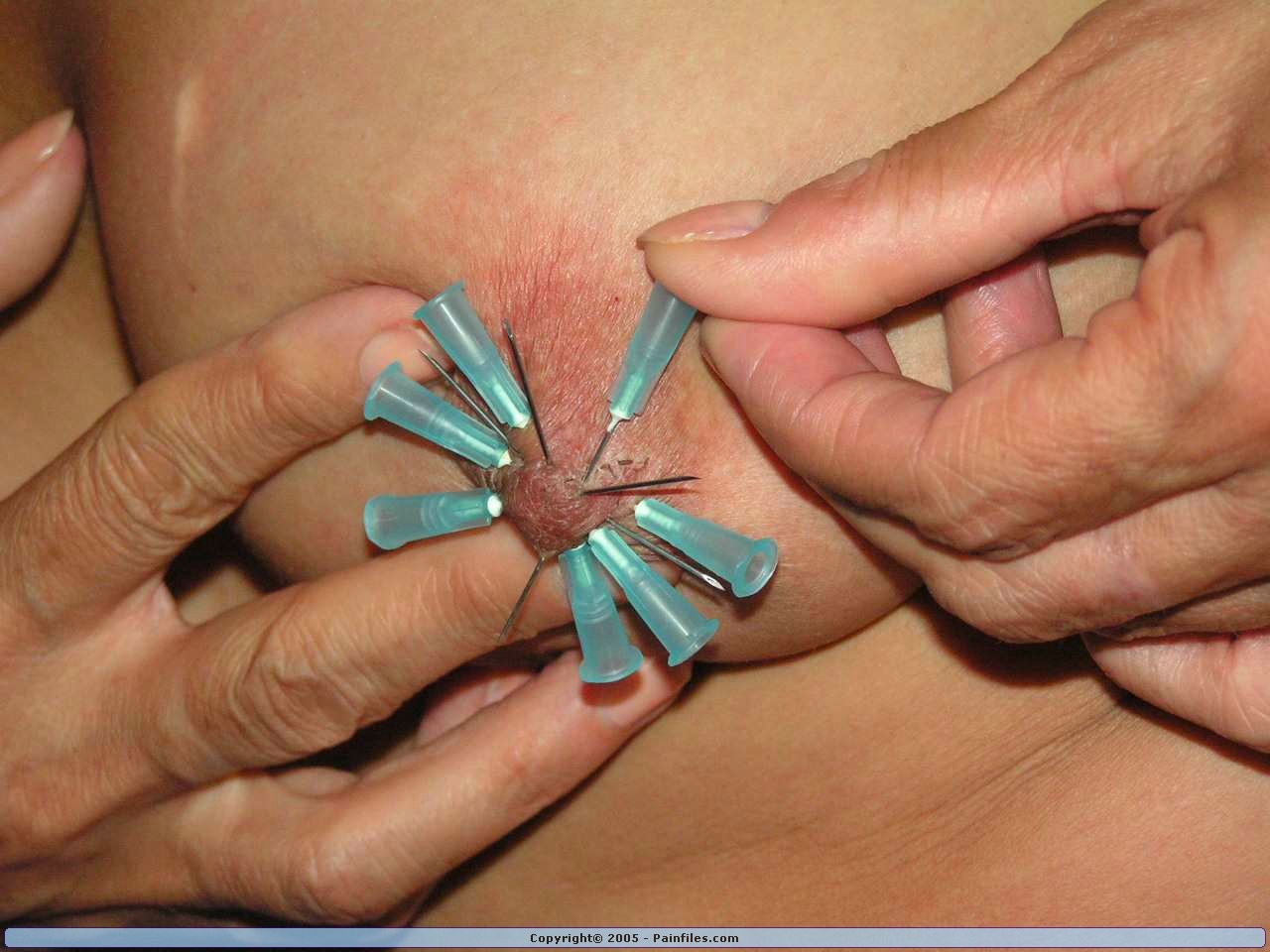 Slavegirls severe breast torments and needle agony #72206560