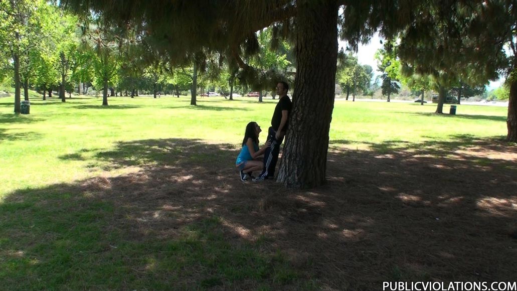 Horny brunette babe having sex in a public park #78608145