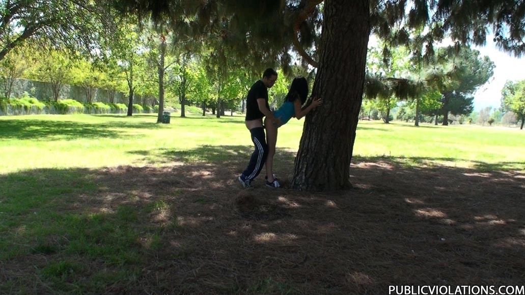 Arrapata ragazza bruna che fa sesso in un parco pubblico
 #78608175