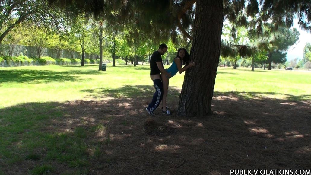 Arrapata ragazza bruna che fa sesso in un parco pubblico
 #78608183