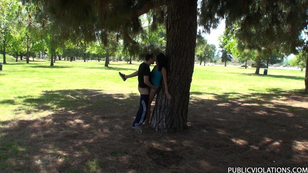 Arrapata ragazza bruna che fa sesso in un parco pubblico
 #78608204