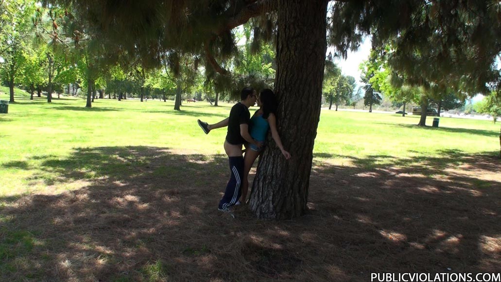 Arrapata ragazza bruna che fa sesso in un parco pubblico
 #78608213