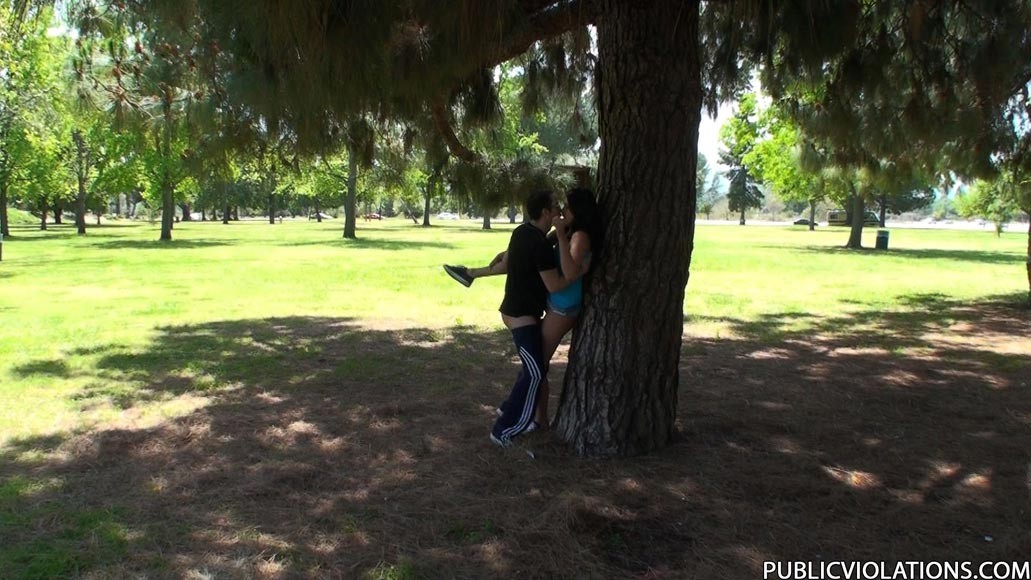 Arrapata ragazza bruna che fa sesso in un parco pubblico
 #78608226