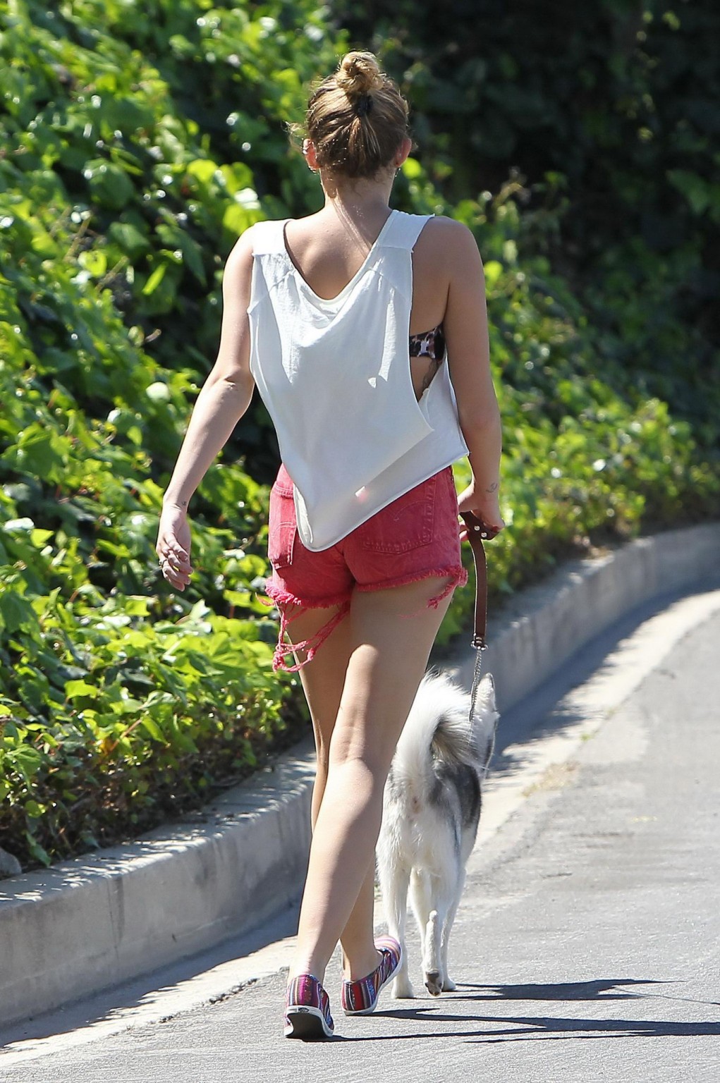 Miley Cyrusが赤いホットパンツを履いて犬のように走る姿
 #75271496