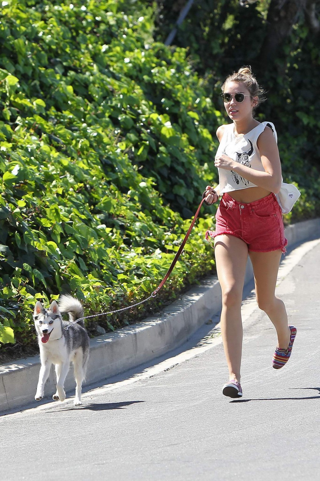 Miley Cyrus en train de courir après son chien en portant un pantalon rouge à La Haye.
 #75271559