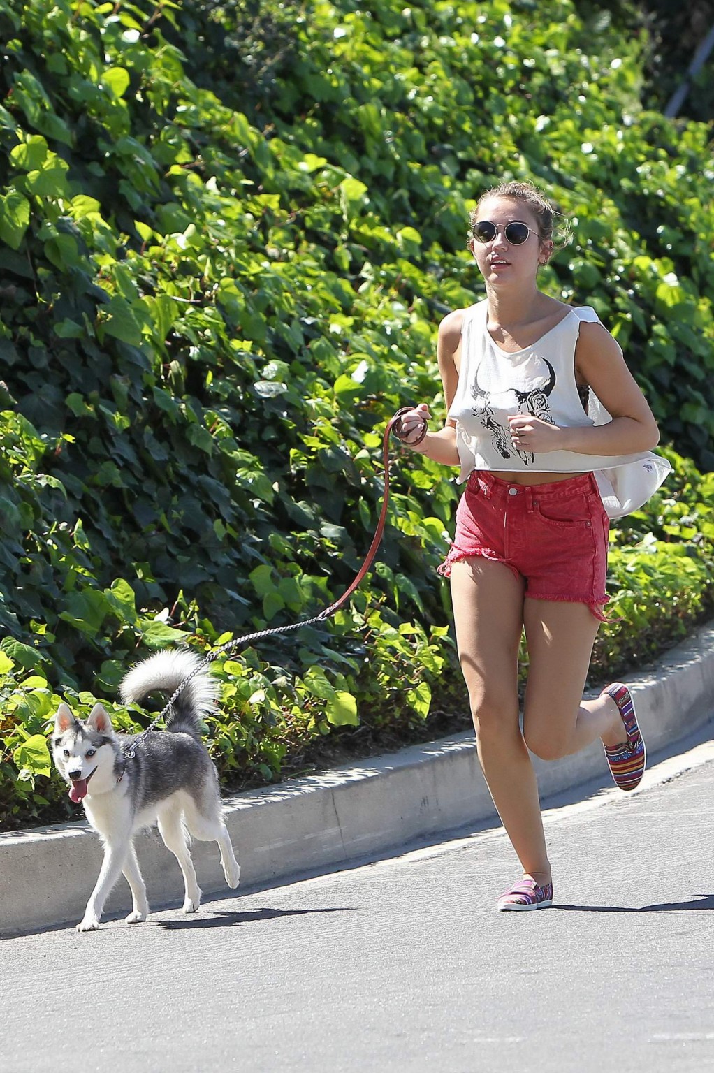 Miley Cyrus en train de courir après son chien en portant un pantalon rouge à La Haye.
 #75271568