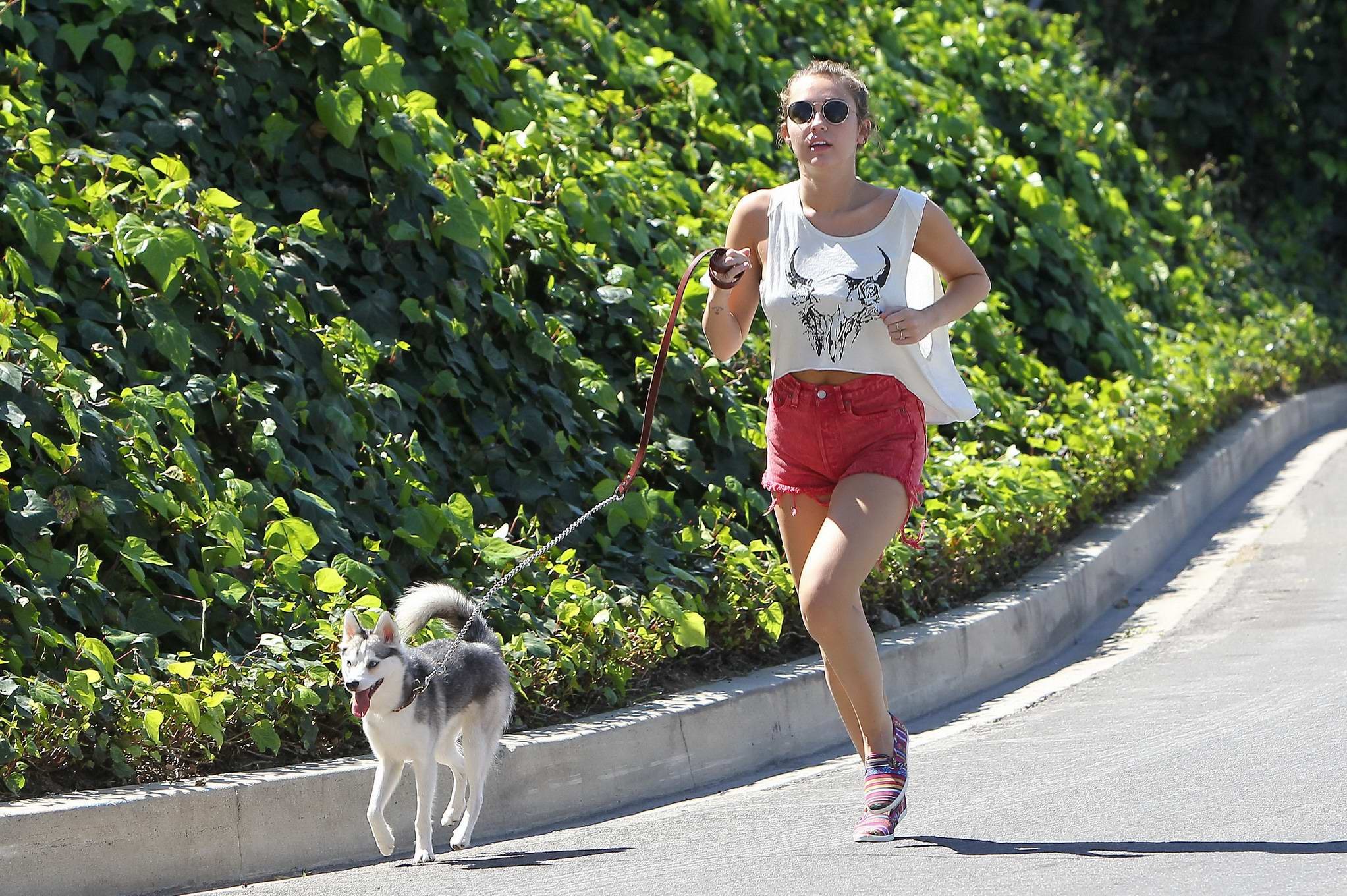 Miley Cyrus en train de courir après son chien en portant un pantalon rouge à La Haye.
 #75271585