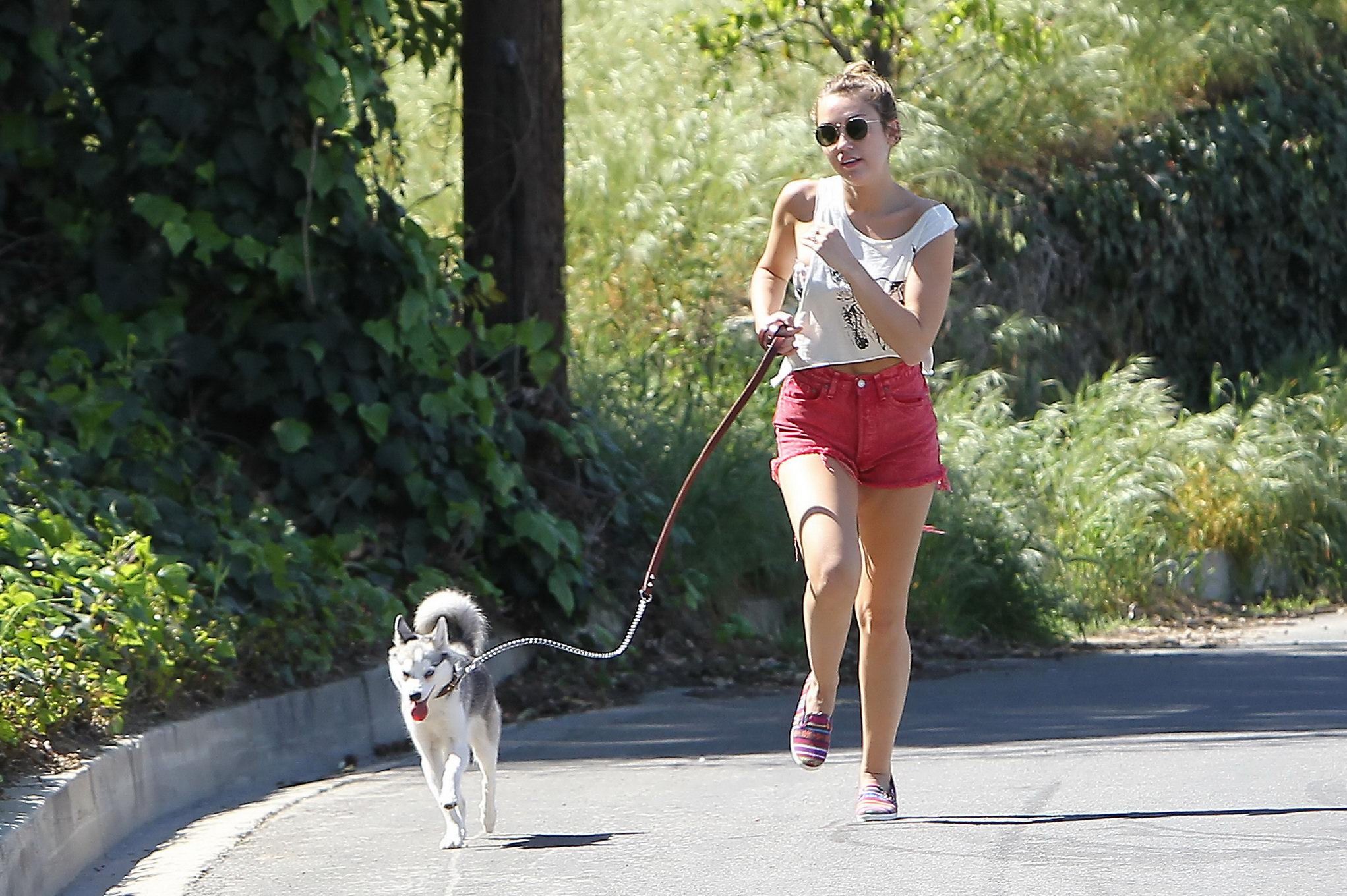 Miley Cyrus en train de courir après son chien en portant un pantalon rouge à La Haye.
 #75271597