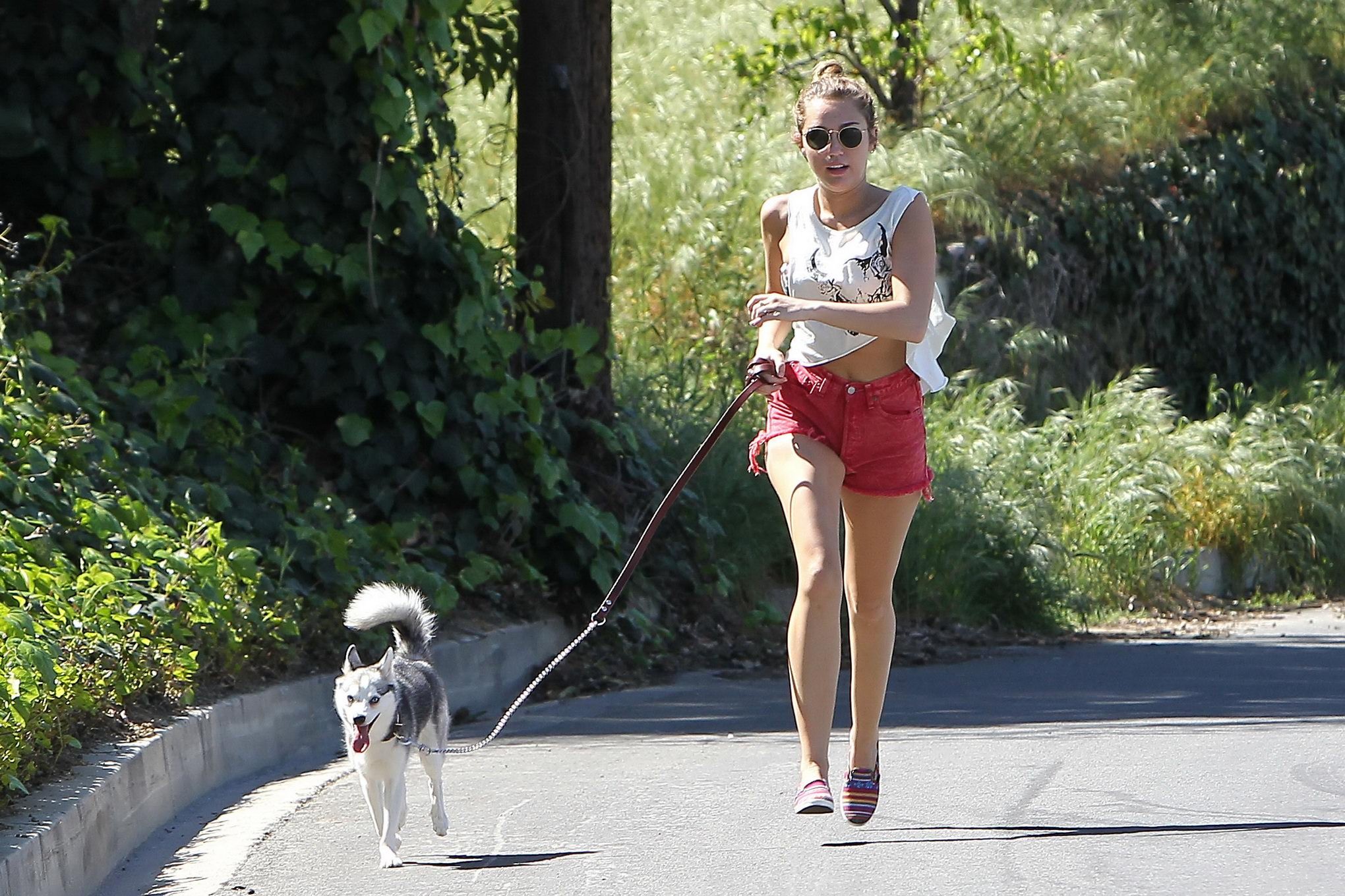 Miley Cyrusが赤いホットパンツを履いて犬のように走る姿
 #75271605