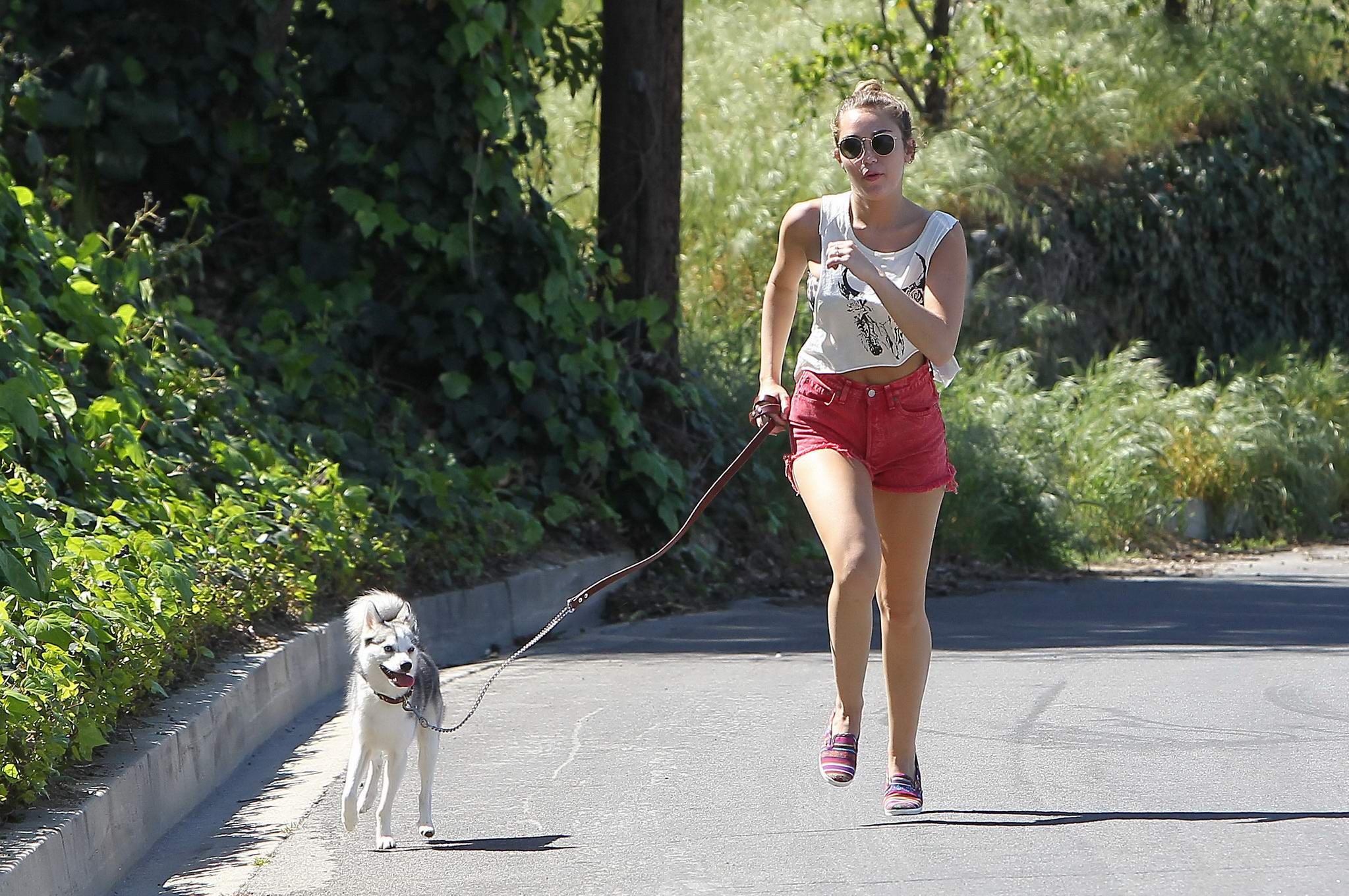 Miley Cyrus en train de courir après son chien en portant un pantalon rouge à La Haye.
 #75271613