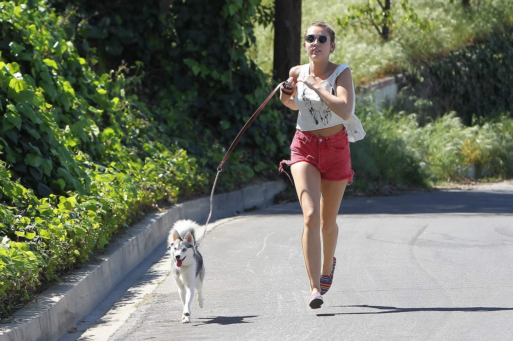 Miley Cyrus en train de courir après son chien en portant un pantalon rouge à La Haye.
 #75271624