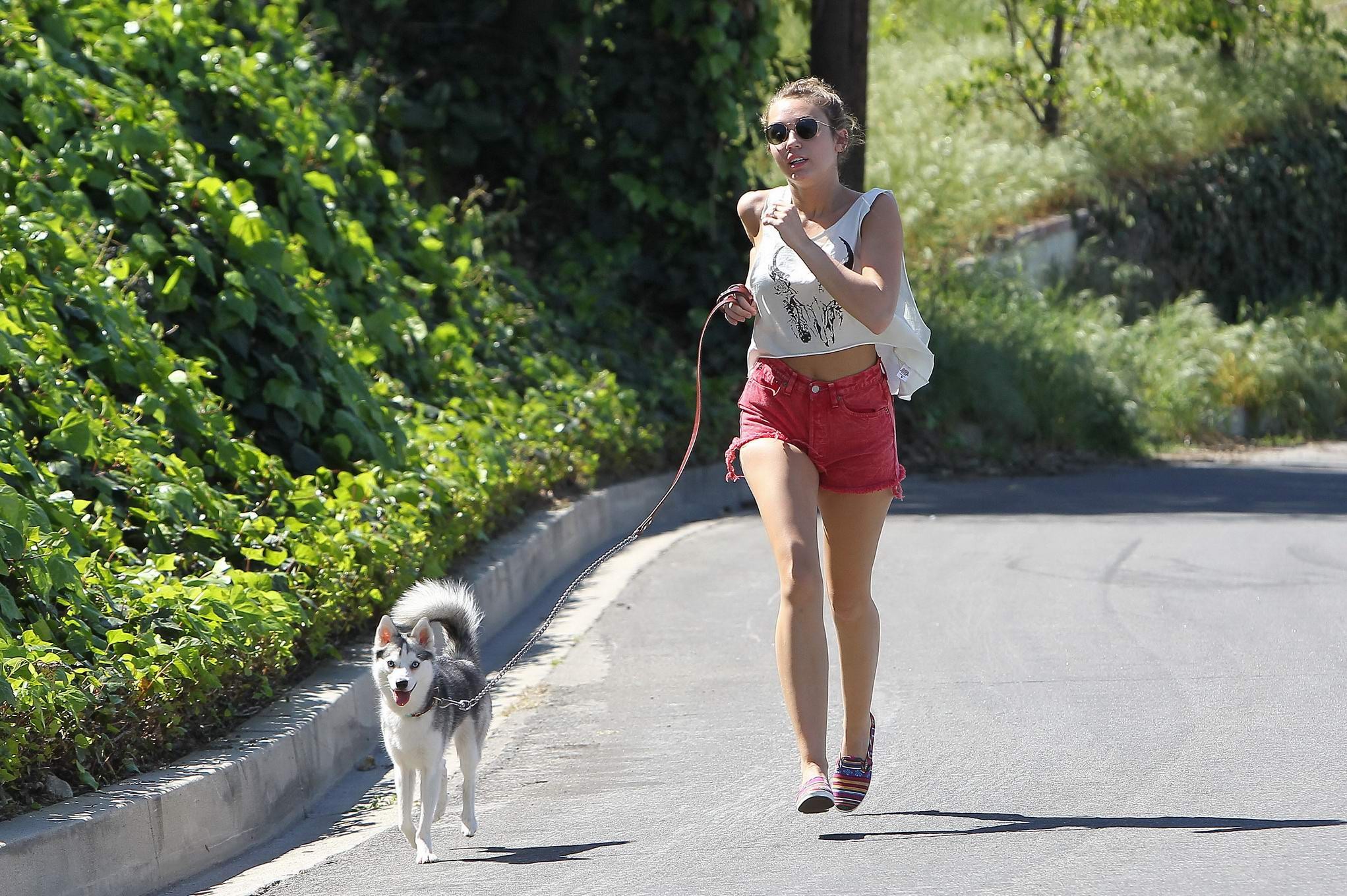 Miley Cyrus en train de courir après son chien en portant un pantalon rouge à La Haye.
 #75271632